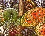 The Mushrooms Come