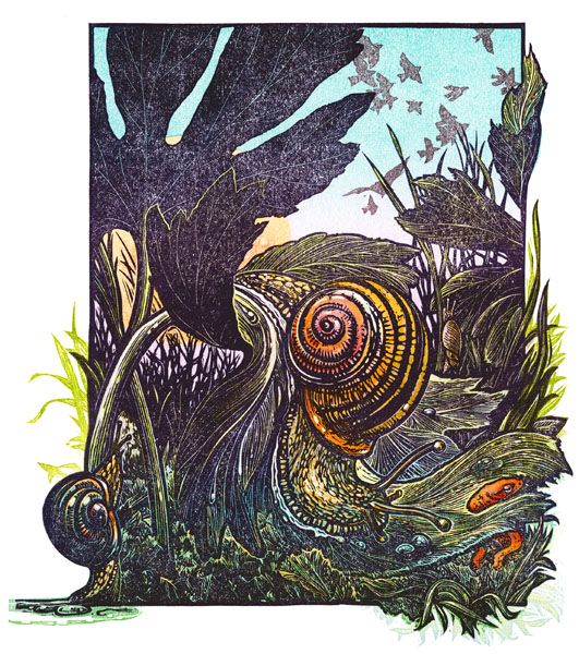 Rick Allen: Snail at Moonrise
