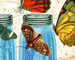 Festival of the Jars