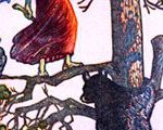 The Trapper’s Daughter & the Long View