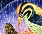 Green-Bellied Devotional