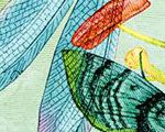 Winged Convergence