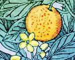 Ripe