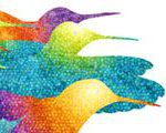 Hummingbirds, Inuit Style