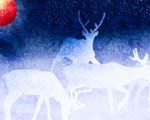 Caribou Moon