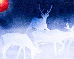 Caribou Moon
