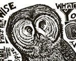 Poor Richard’s Owl