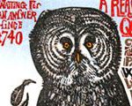 Owls Do Worry