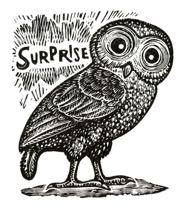 Rick Allen: Surprise Owl