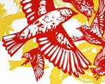 Confusing Fall Warblers
