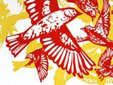 Confusing Fall Warblers at the Kenspeckle Letterpress