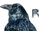 Raven