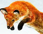 Quick Brown Fox