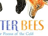 Winter Bees & Other Poems of the Cold at the Kenspeckle Letterpress