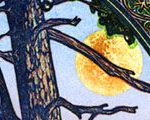 Trapper’s Daughter & The Long View – Moon