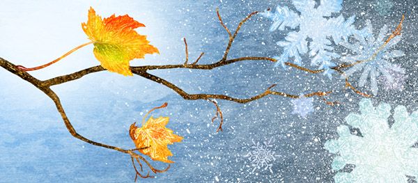 Rick Allen: Fall Into Winter