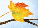 Fall Into Winter at the Kenspeckle Letterpress