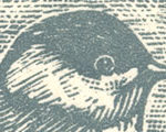 Chickadee