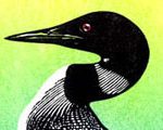 Dancing Loon