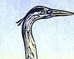 Great Tall Blue Heron