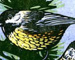 Two Chickadees