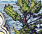 White Pine