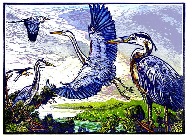 Rick Allen: Blue Heron Rookery, Canada