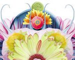 Candy Summer