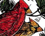 Cardinals