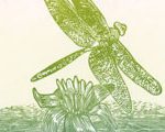 Green Darner