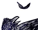 Raven With Feather