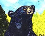 Loafing Bear