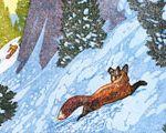 Lutsen Fox