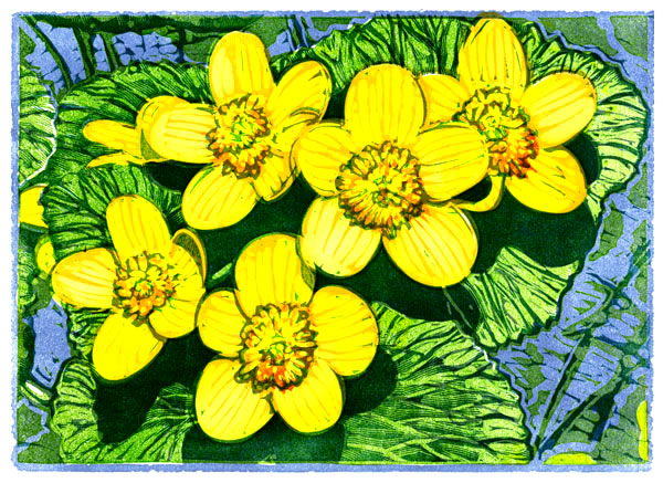 Rick Allen: Marsh Marigolds