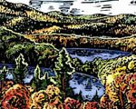 North Shore Autumn