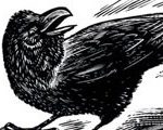 Raven Speaks