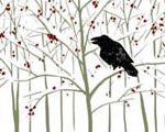 Ravens in Winter