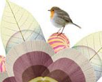 Robin World