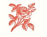 Rose Thank You