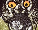Surprised by Love