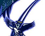 Telemark Angel