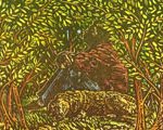 Thicket