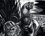 Three Otters