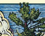 White Pine