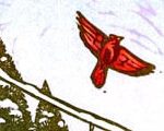 Winter Cardinals