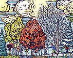 Northern Forest Seasons