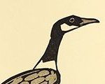 Wild Goose