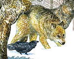 Brother Raven Sister Wolf