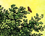 Summer (After Bewick)