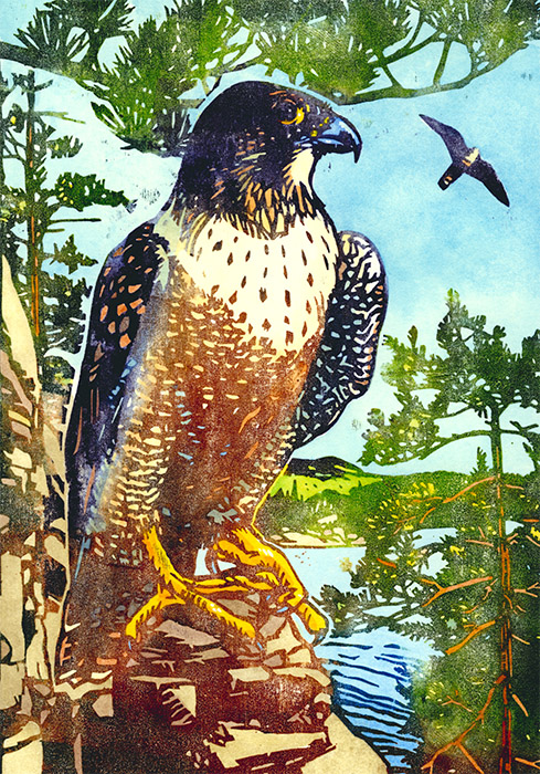 Rick Allen: Peregrine